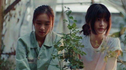 ClaireBell Season 1 Episode 3 - Family