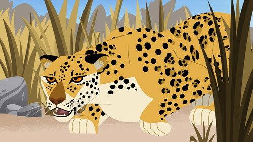 Wild Kratts Season 7 Episode 17 - Stealthazar The Leopard