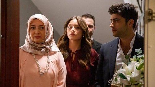 Cranberry Sorbet Season 1 Episode 1 - Episode 1