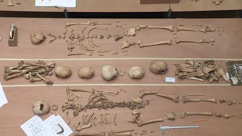 Background image for Episode 12