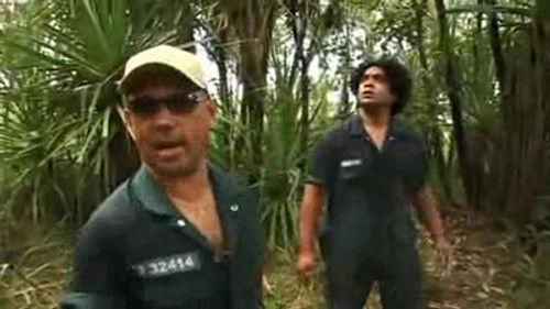 Pizza Season 5 Episode 5 - Beach Pizza (2)