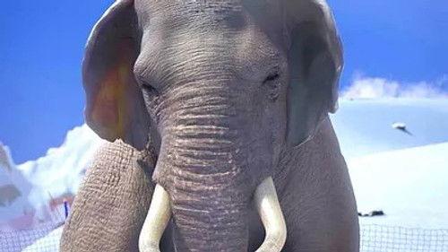 Athleticus Season 2 Episode 15 - Episode 15