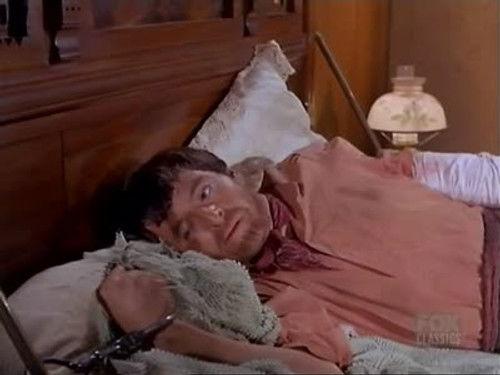 Bonanza Season 8 Episode 22 - Amigo