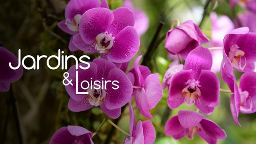 Jardins & Loisirs Season 25 Episode 21 - Episode 21