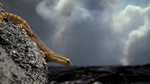 Round Planet Season 1 Episode 7 - Islands