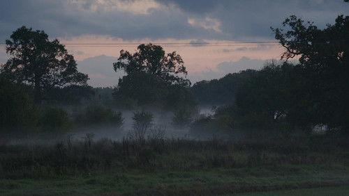 Uroczysko Season 1 Episode 22 - Episode 22