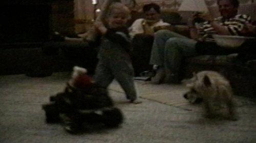 Funniest Pets & People Season 2 Episode 11 - Mishaps