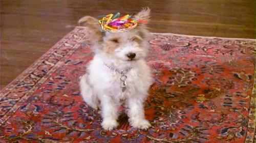 The Ghost & Mrs. Muir Season 2 Episode 9 - Surprise Party