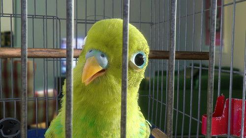 Bird's Eye View Season 1 Episode 2 - Get Busy Living