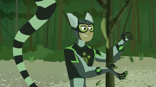 Wild Kratts Season 3 Episode 19 - Lemur Stink Fight