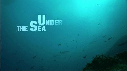 Water Life Season 1 Episode 19 - Under the Sea