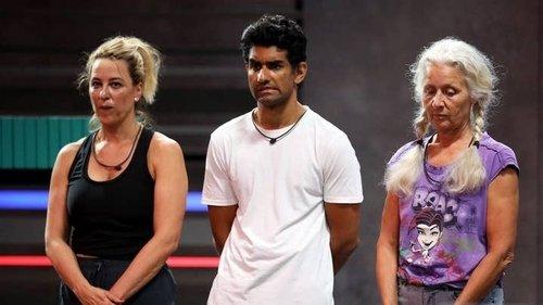 Big Brother Season 13 Episode 25 - Episode 25