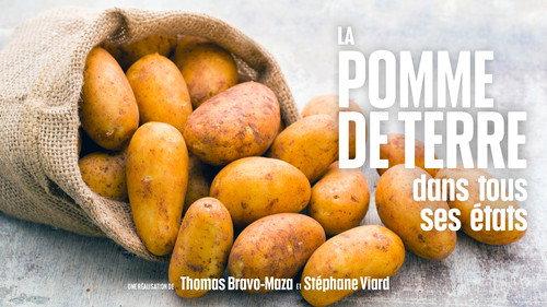 Le Doc du dimanche Season 9 Episode 12 - Episode 12