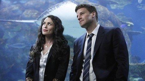 undefined Season 5 Episode 18 - The Predator in the Pool