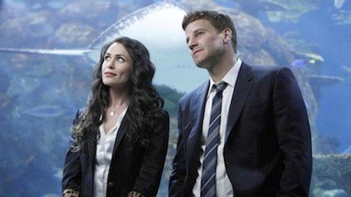 undefined Season 5 Episode 18 - The Predator in the Pool