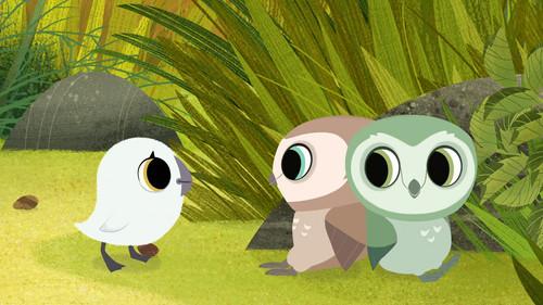 Puffin Rock Season 2 Episode 10 - Find the Owls