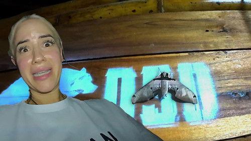 Reality Backpackers Season 2 Episode 3 - Abenteuer oder Albtraum? Die erste Nacht in der Wildnis!