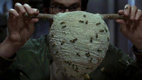 Nightmares & Dreamscapes: From the Stories of Stephen King Season 1 Episode 4 - The End of the Whole Mess