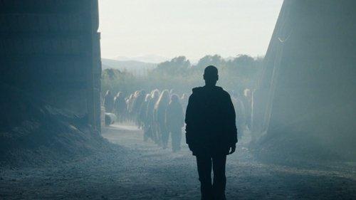 undefined Season 1 Episode 6 - Episode 6