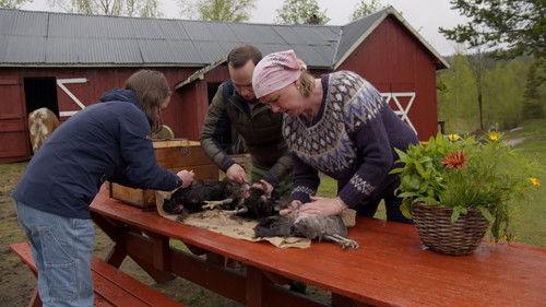 Farmen Kjendis Season 7 Episode 1 - Episode 1