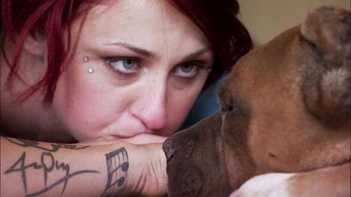 Pit Bulls and Parolees Season 3 Episode 6 - Heart Broken