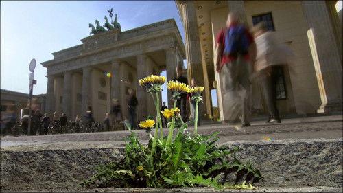 Wild Germany Season 3 Episode 4 - Wild Berlin