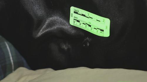 Killer Cases Season 4 Episode 2 - The Eagle Scout