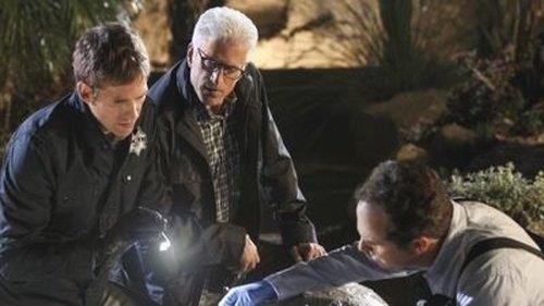 CSI: Crime Scene Investigation Season 13 Episode 20 - Fearless
