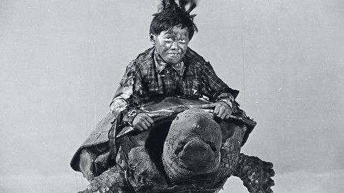 Background image for Grow Up! Little Turtle