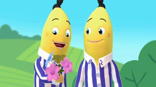 Bananas in Pyjamas Season 1 Episode 25 - The Flowers