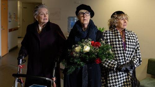 Sunset Grove Season 1 Episode 1 - Episode 1