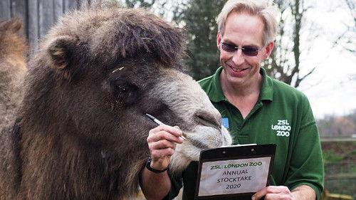 London Zoo: An Extraordinary Year Season 1 Episode 2 - Episode 2