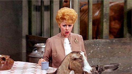 The Lucy Show Season 4 Episode 14 - Lucy Discovers Wayne Newton