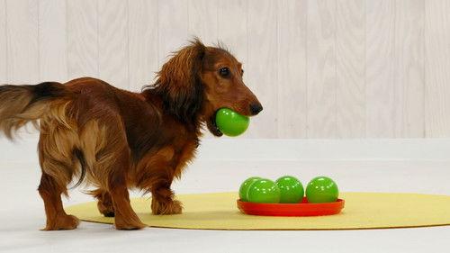 Background image for Episode 8