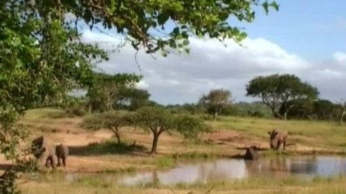 Kouzlo Afriky Season 1 Episode 17 - Episode 17