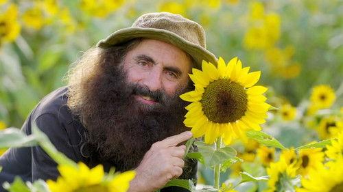 Gardening Australia Season 36 Episode 3 - Episode 3 Autumn: Cheery Sunflowers & Wonderful Witlof