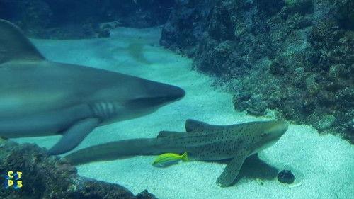 Background image for Episode 3