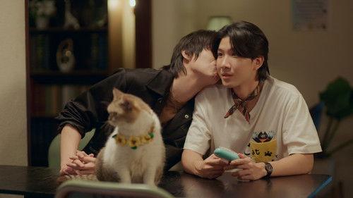 Cat for Cash Season 1 Episode 9 - Episode 9