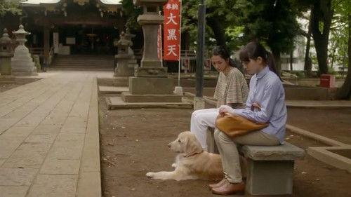 Woman Season 1 Episode 11 - To Our Children's Children