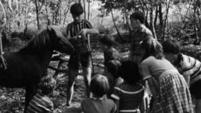 Poly Season 1 Episode 6 - Episode 6