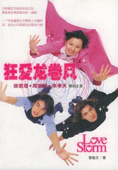 Love Storm poster