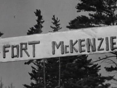 Background image for False Witness