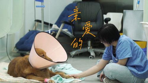 今生，请多指教 Season 1 Episode 1 - Episode 1