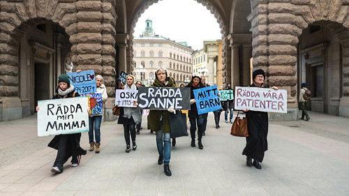 Uppdrag granskning Season 19 Episode 16 - Episode 16