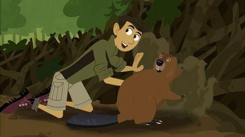 Wild Kratts Season 1 Episode 8 - Build It Beaver