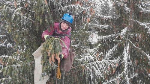 Das war dann mal weg Season 4 Episode 3 - Episode 3