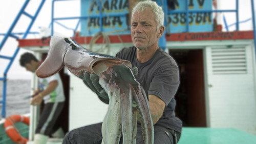 River Monsters Season 8 Episode 5 - Devil of the Deep