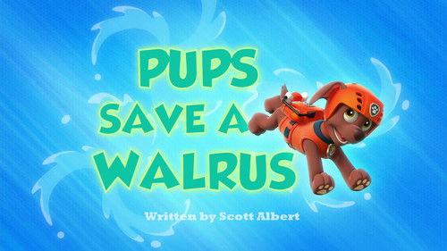 undefined Season 1 Episode 18 - Pups Save a Walrus