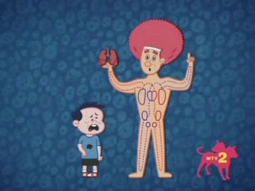 Wonder Showzen Season 2 Episode 1 - Body