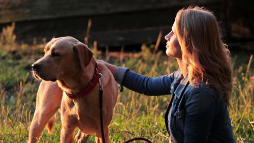 Blondynka Season 5 Episode 1 - Episode 1